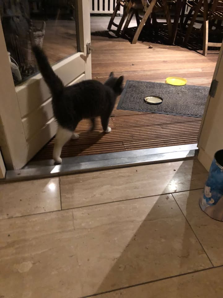 Facebook bericht afbeelding