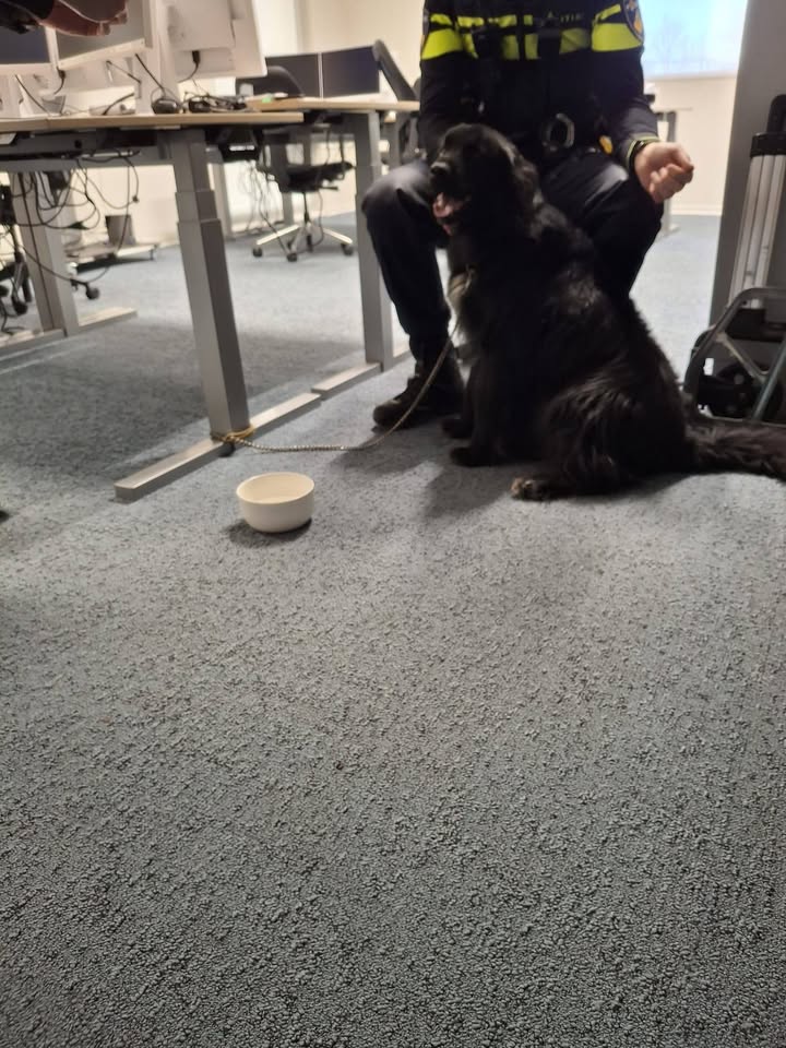 Facebook bericht afbeelding