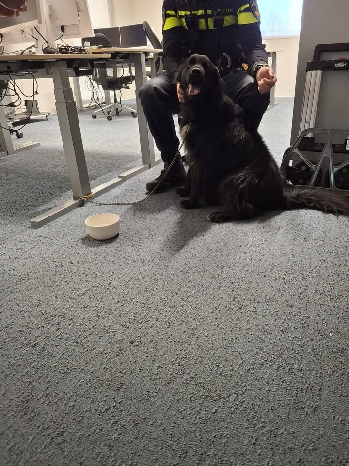 Facebook bericht afbeelding