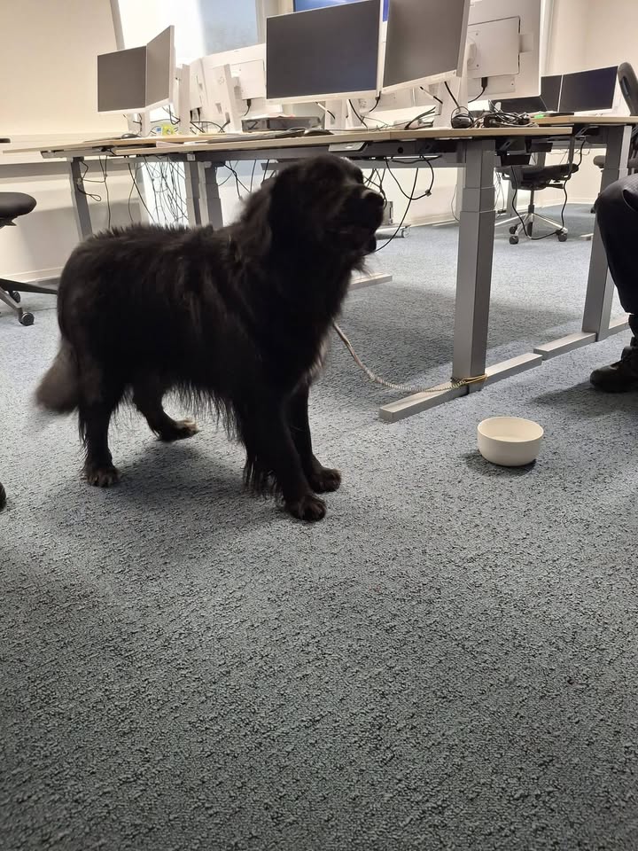 Facebook bericht afbeelding